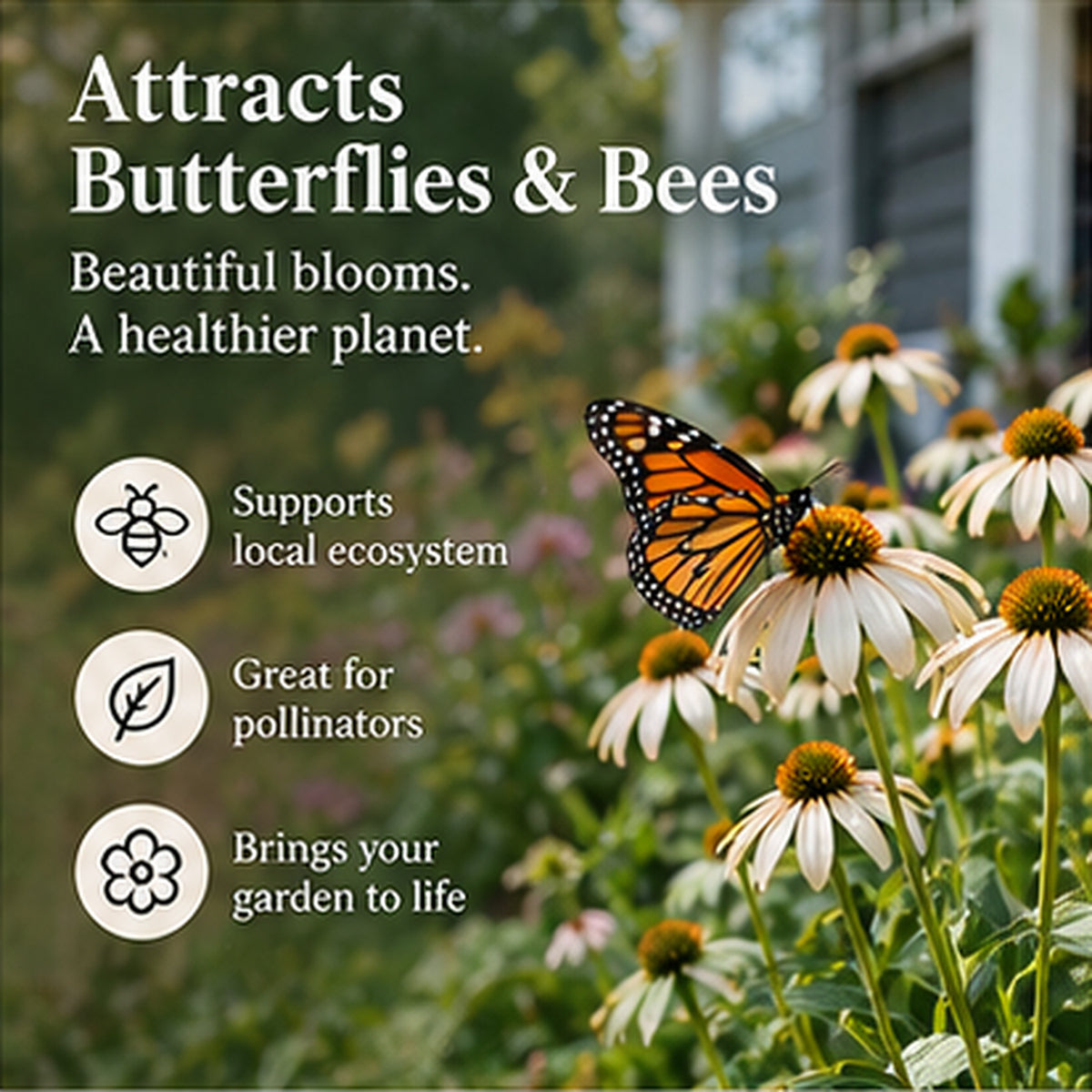 ✨Early Holiday Sale 45% OFF🌱 Timeless Seed Calendar 2027 | A Year of Growing Joy