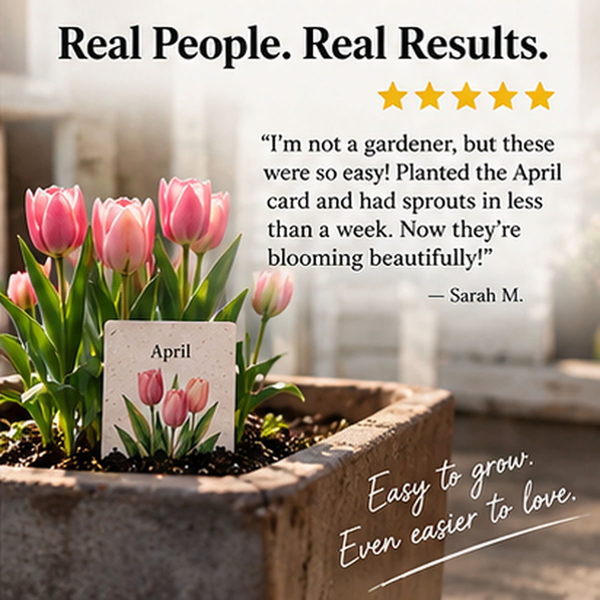 ✨Early Holiday Sale 45% OFF🌱 Timeless Seed Calendar 2027 | A Year of Growing Joy
