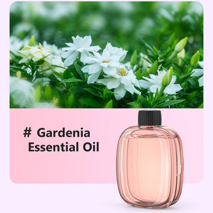 🌷 Last Day: 50% OFF — ✨ Cordless Aroma Diffuser with Timer 🌸