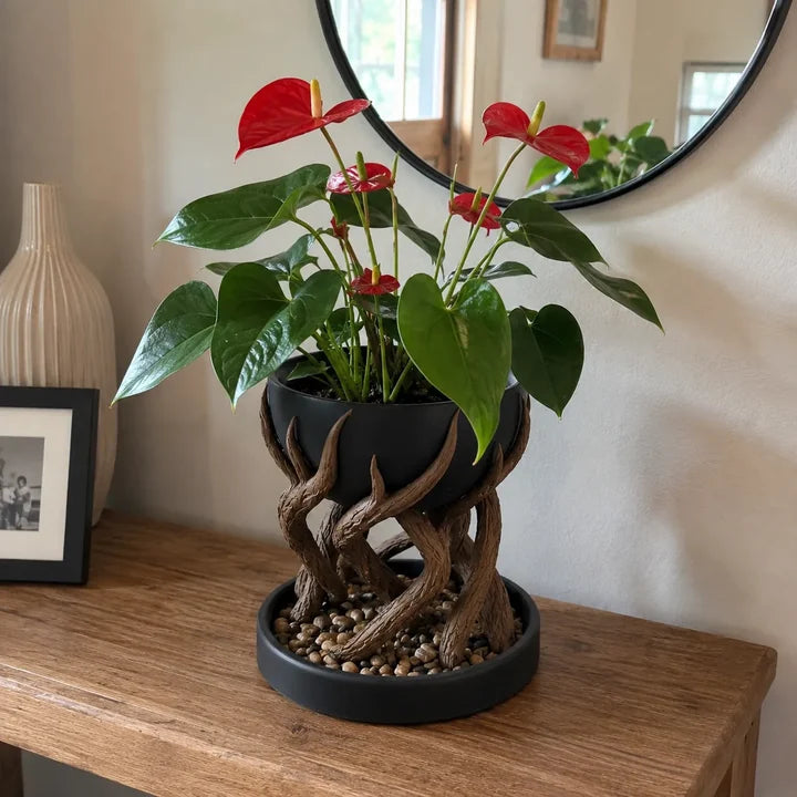 Karen P. review photo of the Tree Root Planter